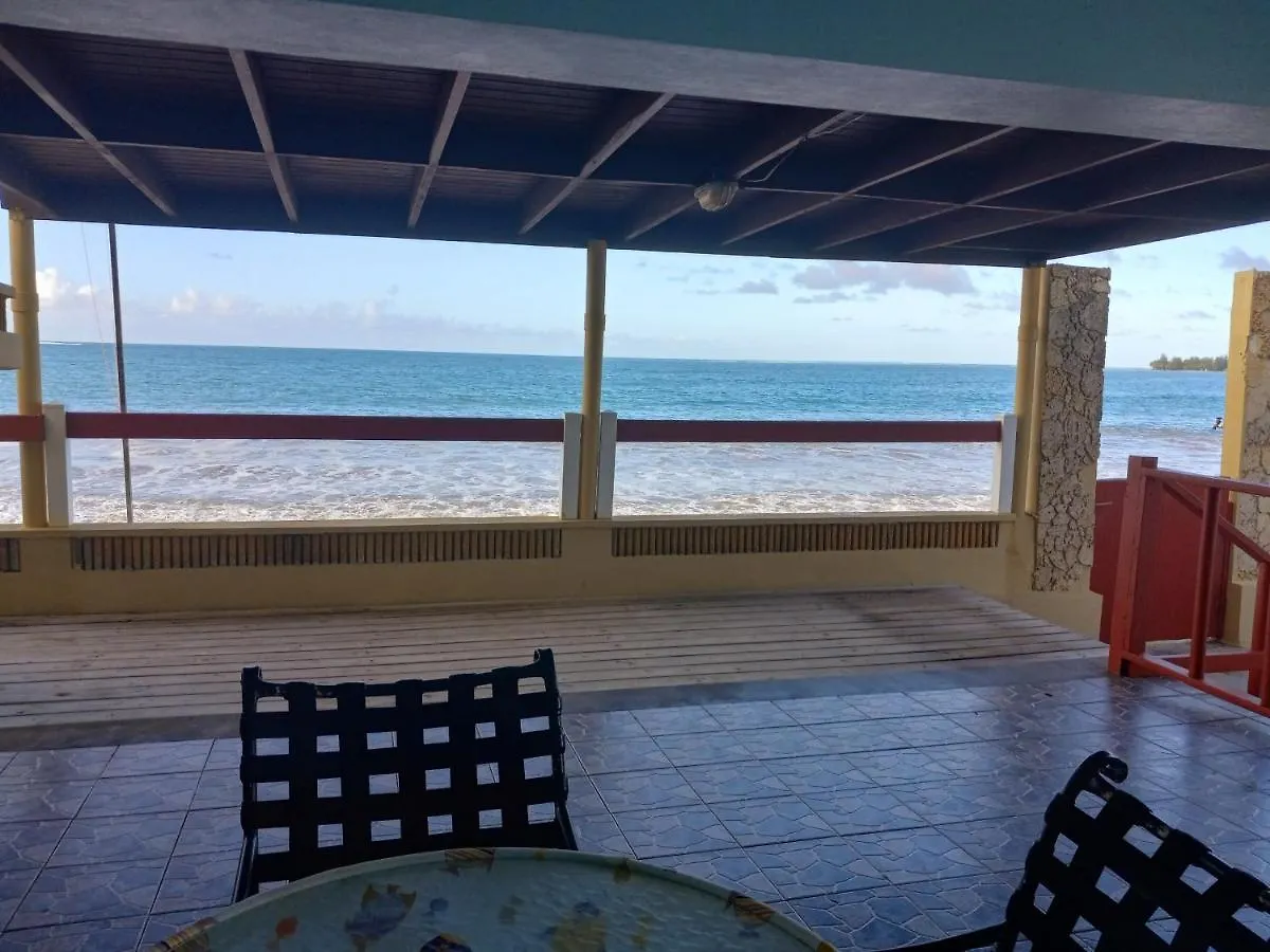 Selva Boutique Hotel - Luquillo Oceanfront Retreat - Adults Only