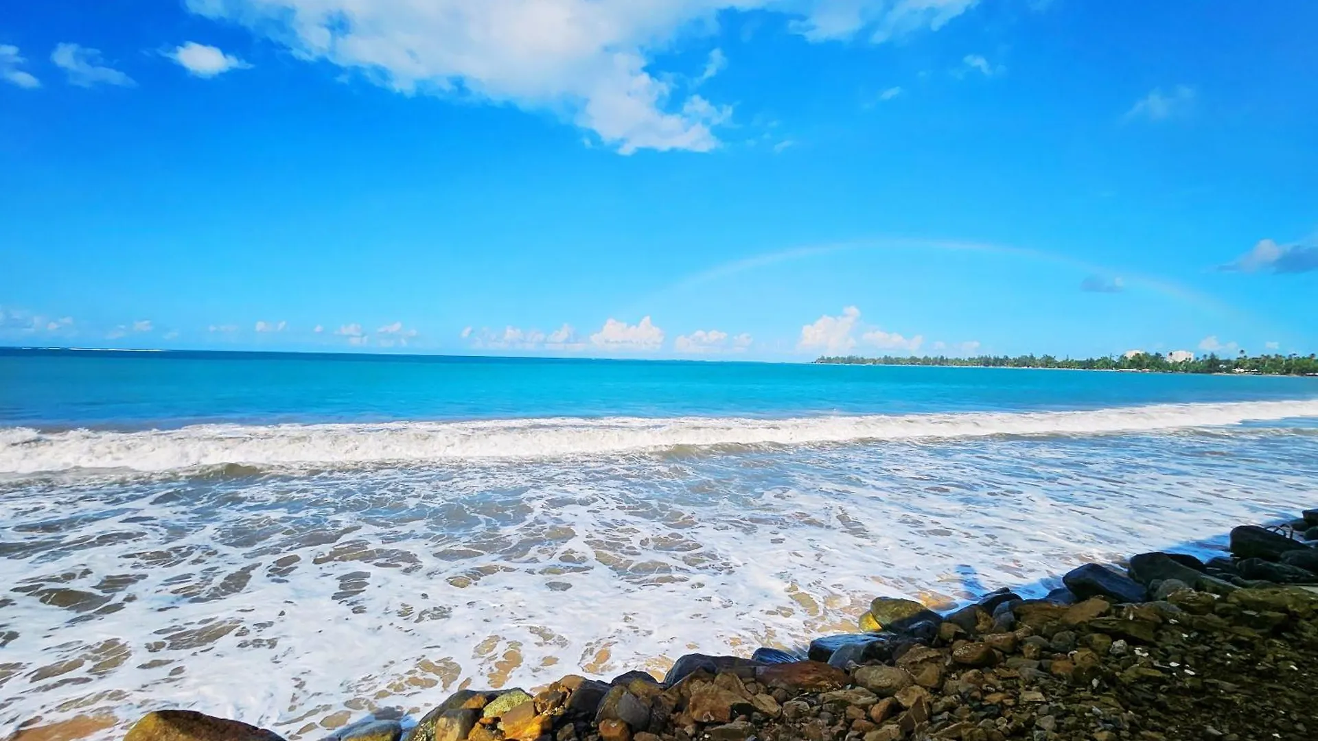 Selva Boutique Hotel - Luquillo Oceanfront Retreat - Adults Only