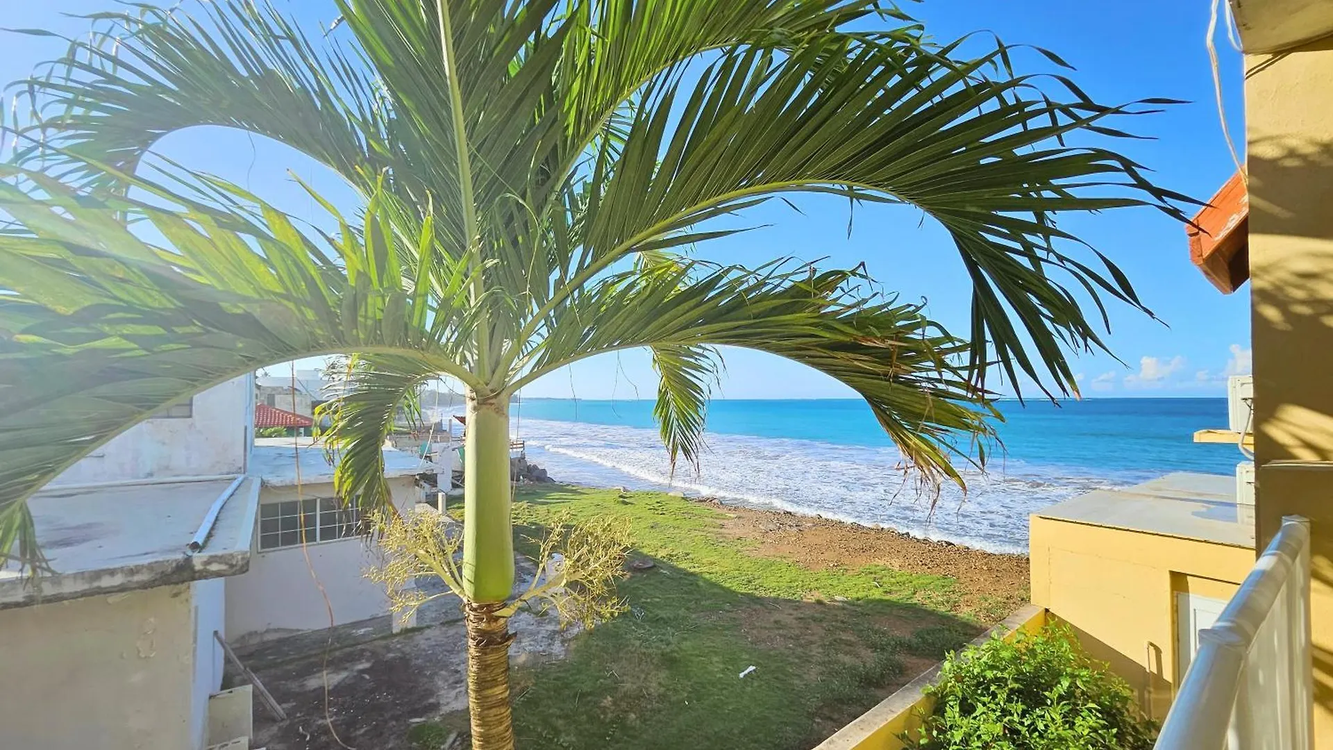 Selva Boutique Hotel - Luquillo Oceanfront Retreat - Adults Only 4*,